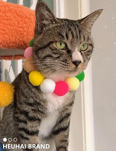 Miniatura 7 de Paquete de 40 pelotas para gatos - Divertidos juguetes interactivos para gatos y gatitos de interior (tiempo de juego)