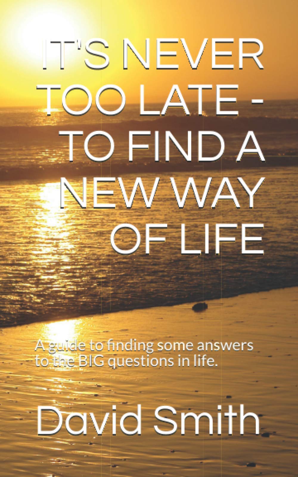 IT'S NEVER TOO LATE - TO FIND A NEW WAY OF LIFE: A guide to finding some answers to the BIG questions in life.