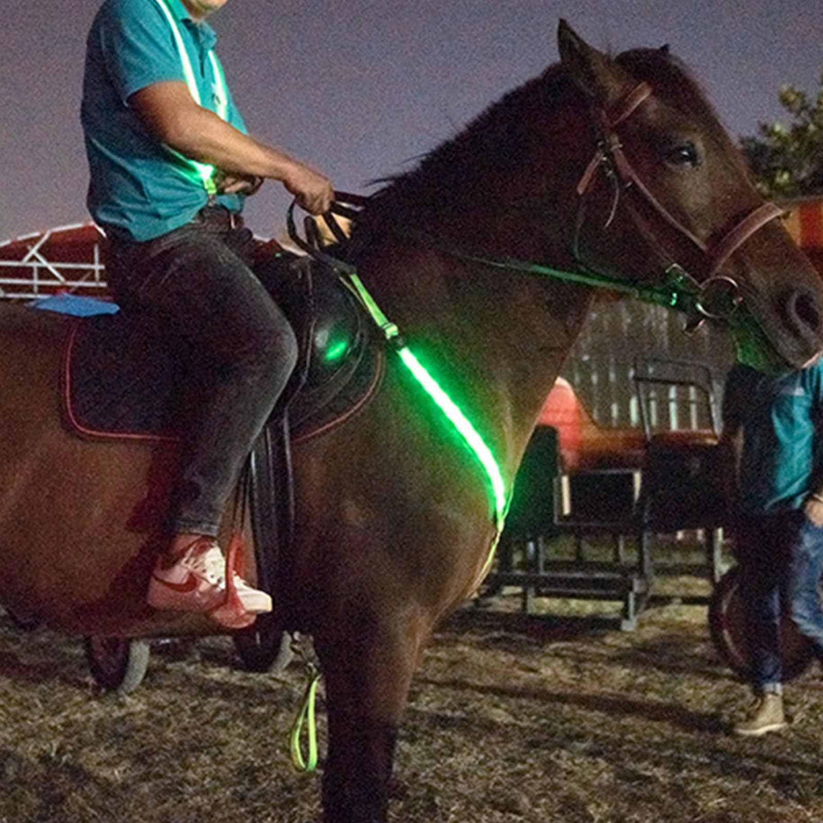 LED-Brusthalsband für Pferde, verstellbar, Nachtsichtbar, für Reitausrüstung