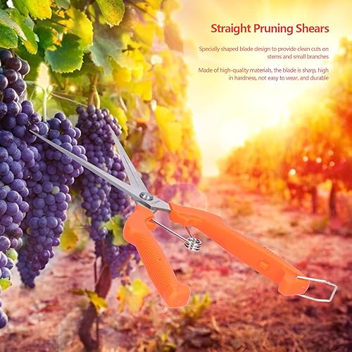 Miniatura 8 de Tijeras de podar de jardín, tijeras de podar de mano, tijeras de jardín de floristería, tijeras de mango largo para recolección de frutas para
