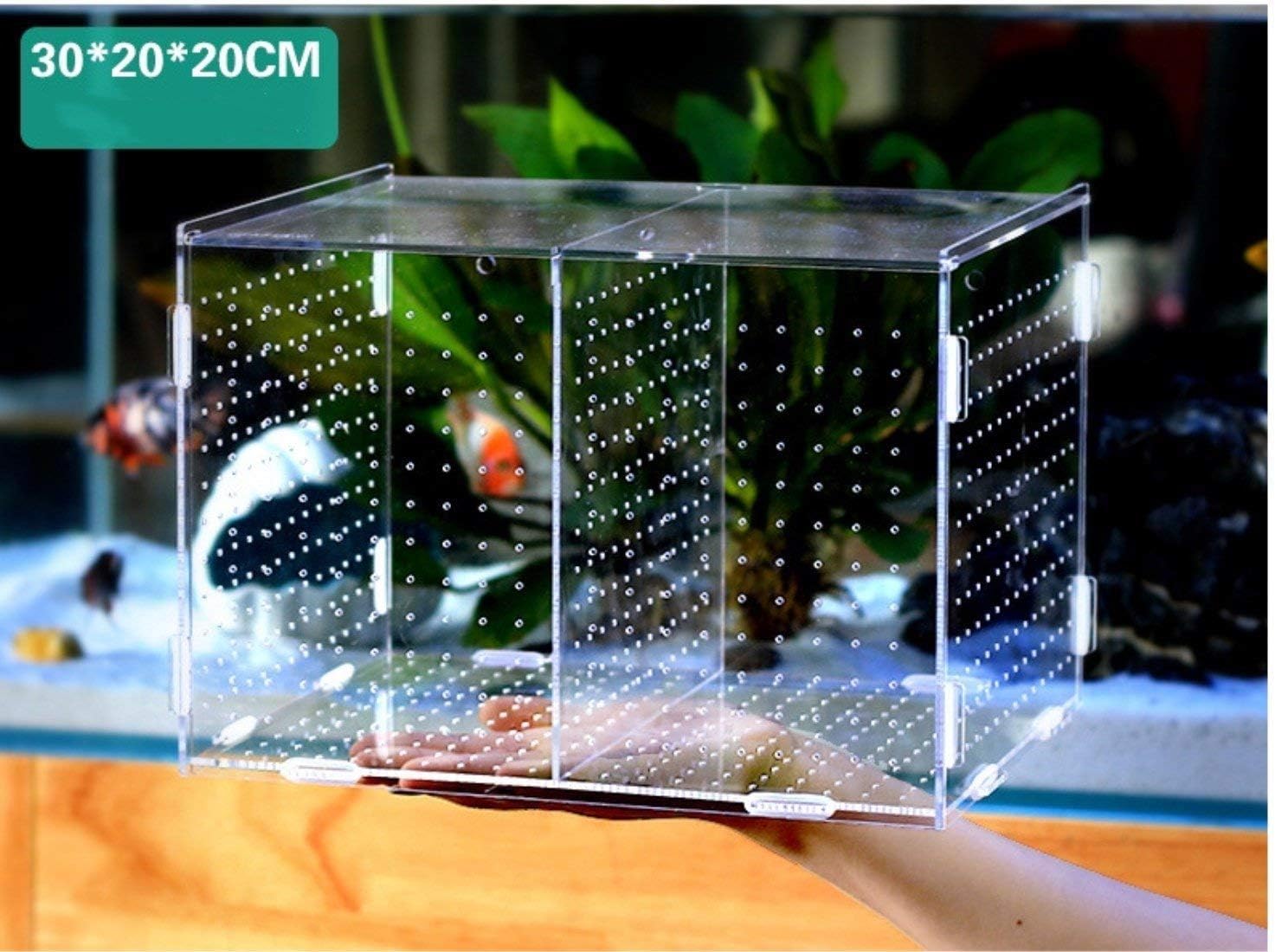 FITMATE Fish Hatchery Fish Breeding Double Breeding Breeder Rearing Trap Box Hatchery Isolation Box Aquarium Accessory For Sick And Pregnancy Fish