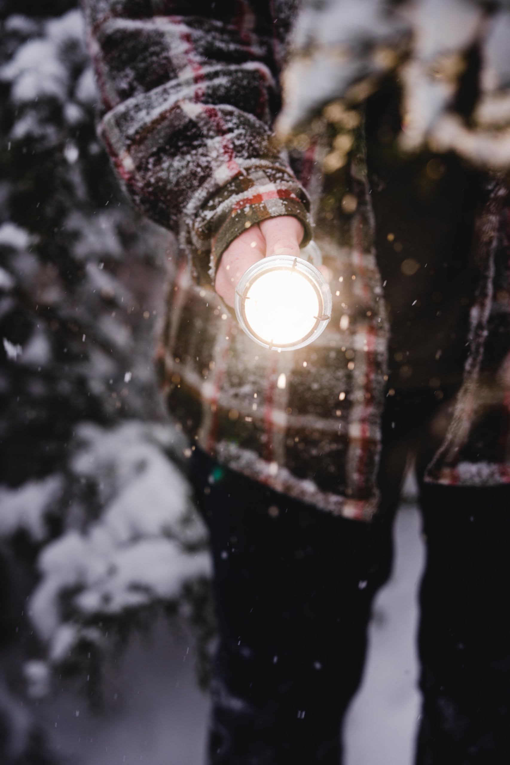 Amazon.co.jp: BAREBONES(ベアボーンズ) ビンテージフラッシュライト