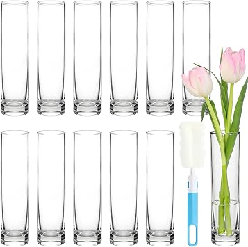 TBWIND 12pcs 7.5 Inch Clear Glass Cylinder Bud Vases for Centerpieces