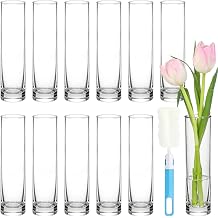 TBWIND 12pcs 7.5 Inch Clear Glass Cylinder Bud Vases for Centerpieces | Slim Flower Vases for Single Stems, Small Glass Vases in Bulk for Wedding, Table, Party & Home Decor