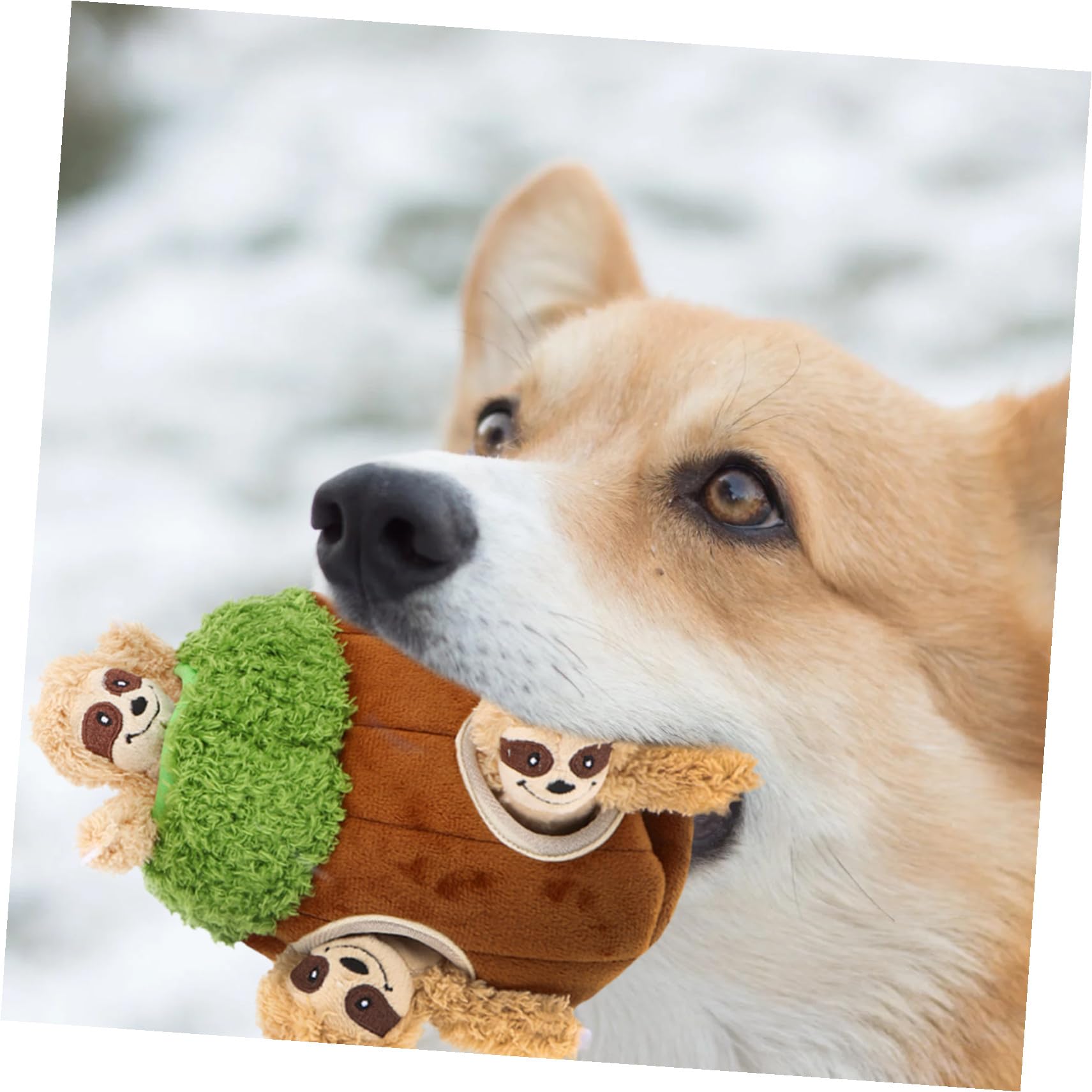 SHINEOFI Hunde Plüschtier 4 Stück aus Plüsch in Tierform Quietschendes Hundespielzeug in Kaffee Interaktives Versteckspielzeug für Hunde Begleiter und Trainingsspielzeug für Haustiere