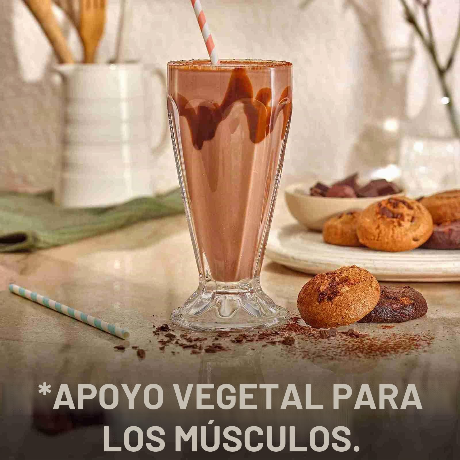 Bulk Proteína vegana en polvo, Galletas de Chocolate, 1 kg, 28 (Paquete de 2)