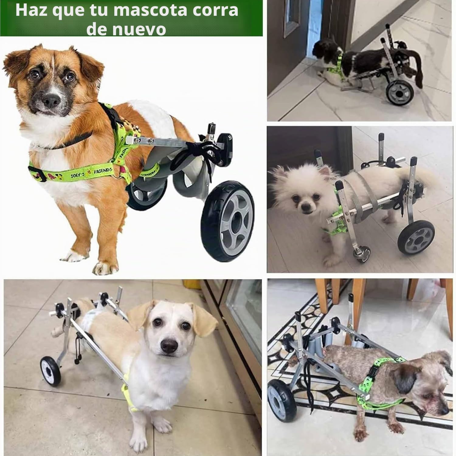 Silla De Ruedas Para Perros,Sillas Dos Ruedas,Ajustables Patas Traseras Mascotas PequeñAs,Ideal RehabilitacióN Piernas En Personas Mayores, Lesionadas,Con Artritis Con Perros,Gatos DéBiles(XS,Four whe