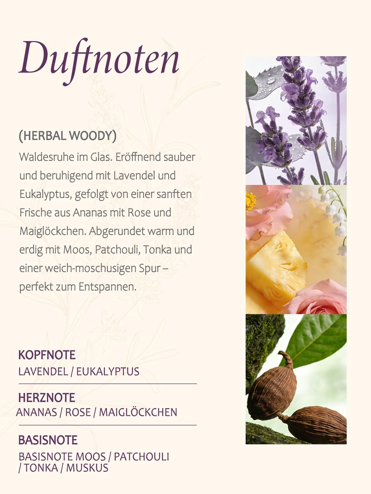 Lavendel Duftkerze im Glas – Duftkerze aus Sojawachs mit Doppeldocht, ca. 50 Std. Brenndauer, handgegossen, sanfter Lavendel Kräuter-Holzduft für Zuhause, Entspannung & als Geschenkide