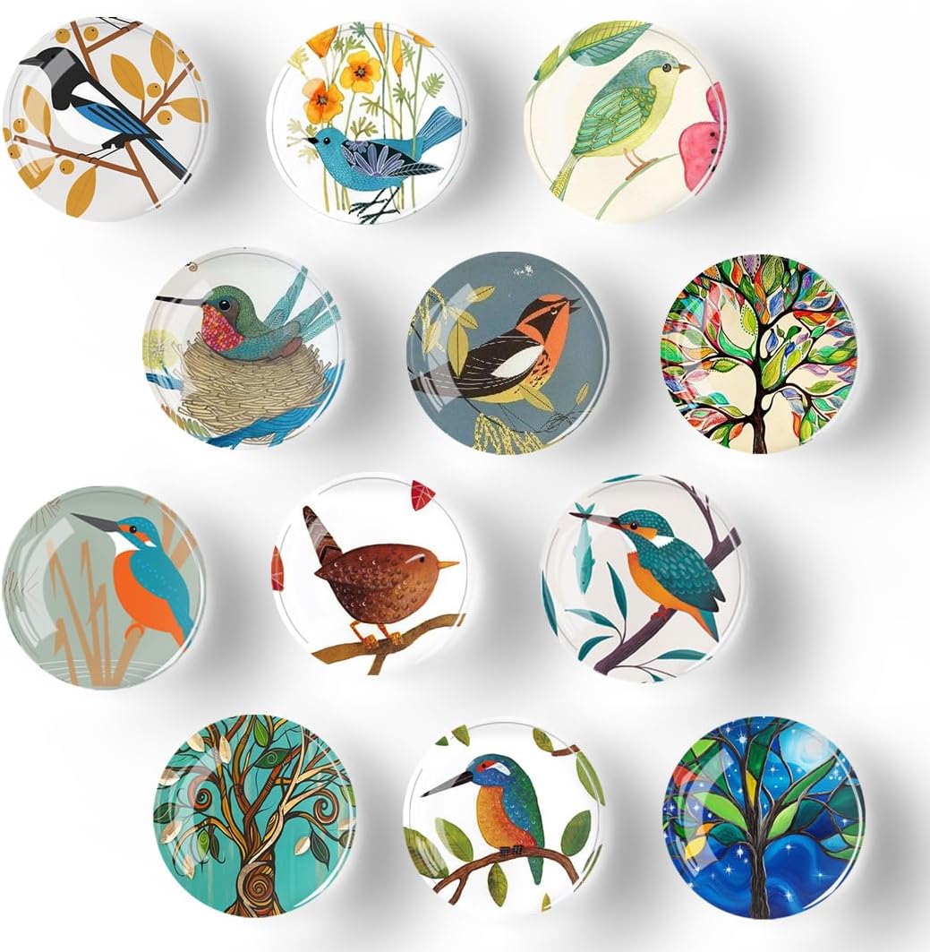 12 PCS Strong Fridge Magnets Gift Set, Fun Magnets Decor, Bird