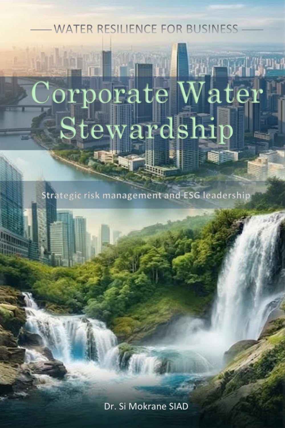 Corporate Water Stewardship: Data-Driven Frameworks for Water Strategy and ESG Reporting (Water Resilience for Business)