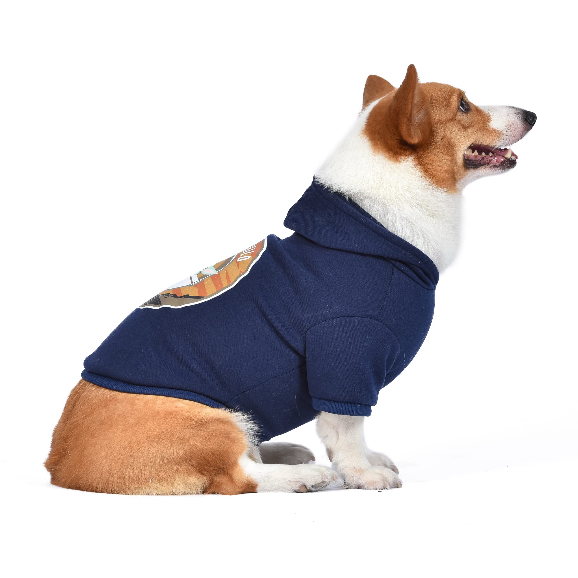 STAR WARS Sudadera con capucha Mandalorian para perros, diseño El niño con agujero de fijación para correa, extra grande | Ropa de Star Wars para perros | Sudadera Grogu con capucha acogedora para