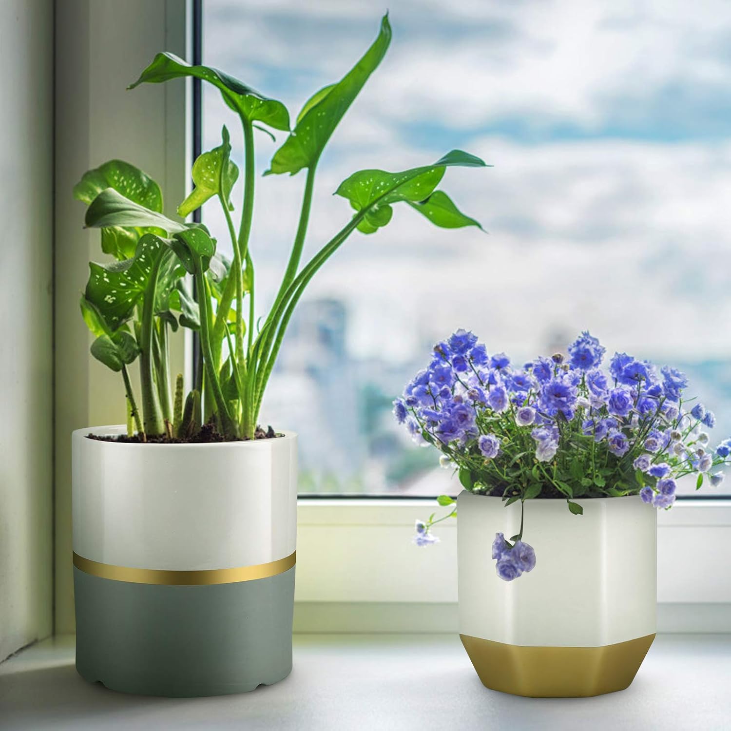 Plant Pots, BABIRO White Ceramic Pots for Plants, 6.1/5.1 Inch Ceramic Flower Pot with Drainage Holes, Indoor Planter Pots with Gold and Grey Details