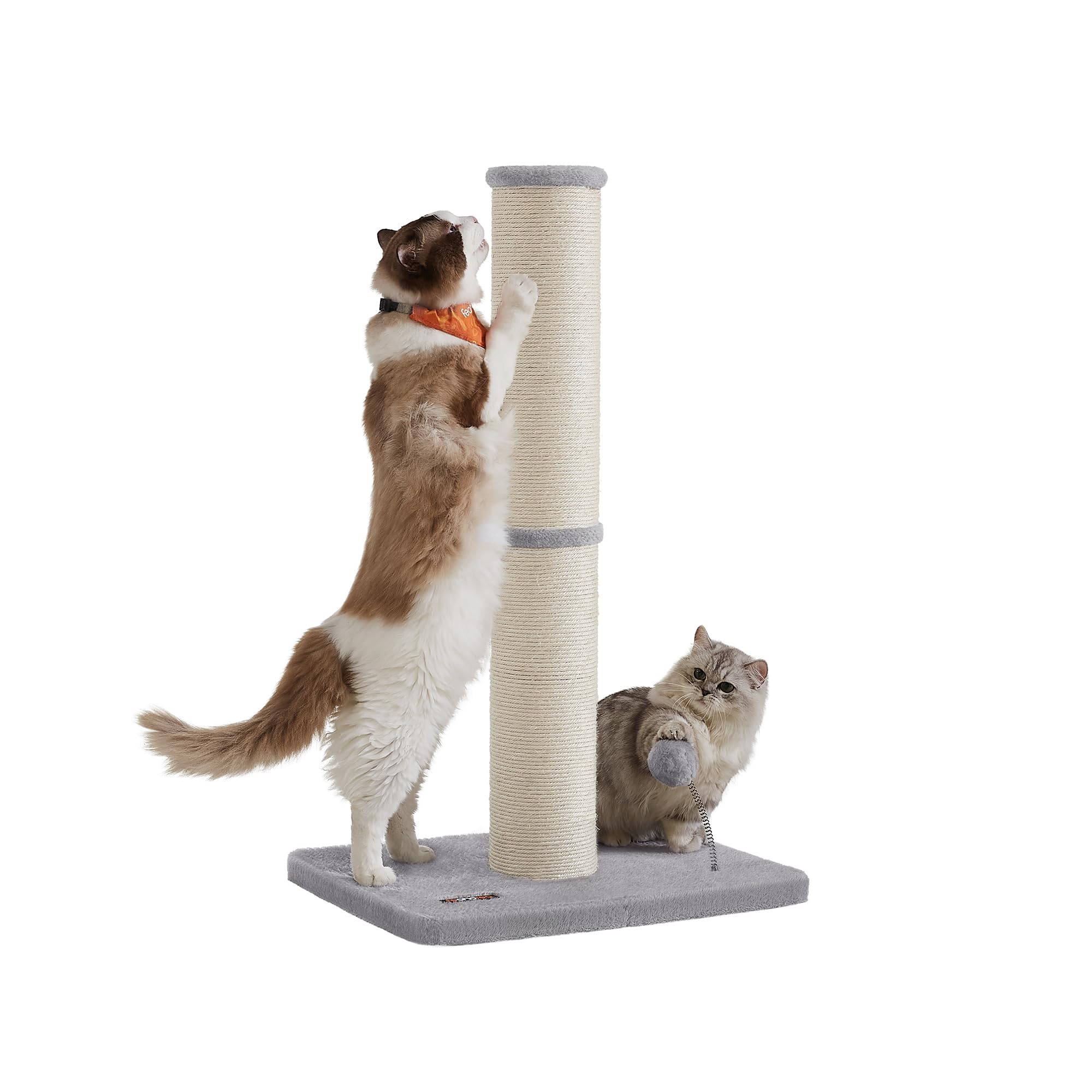 Feandrea Poste Rascador para Gatos, 85 cm de Alto, Gatos Medianos y Grandes, Poste Rascador de Sisal, Pompón de Muelle con Campana, Gris Paloma PCA041G01