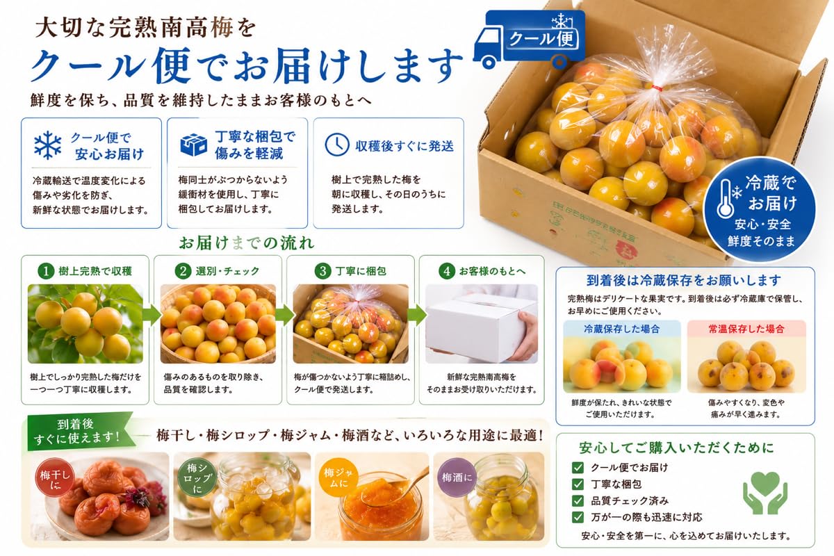 Amazon | [西農園] 和歌山県産 紀州南高梅 青梅 梅干し 梅 5kg L〜4L