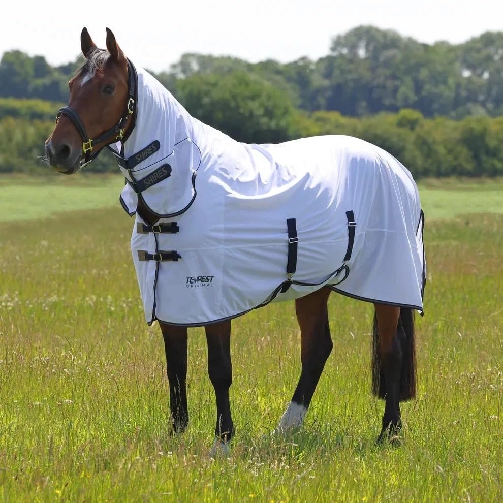 Horse Masters Tempest Original Horse Fly Combo Rug UV Protection Lightweight Breathable Mesh Fly Rug with Belly Flap White (Shires)