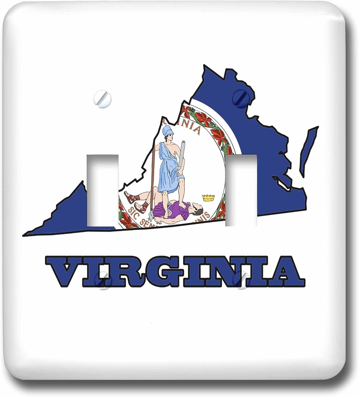 3dRose lsp_58767_2 Virginia State Flag in The Outline Map and Letters for Virginia Double Toggle Switch