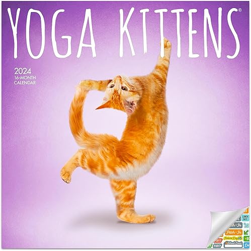 Calendario de gato humorístico 2024  Regalos divertidos para los amantes de los gatos de lujo 2024 con más de 100 calcomanías de calendario (regalos