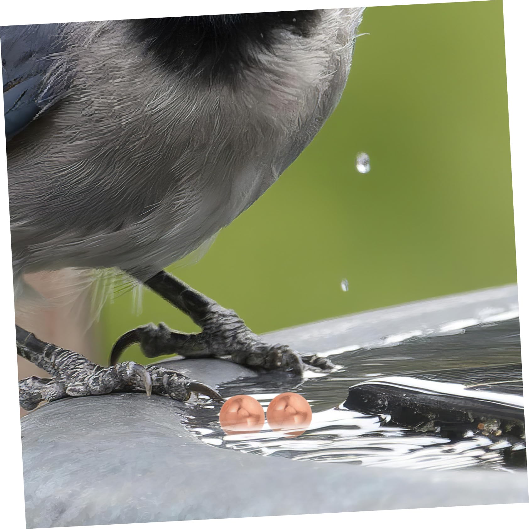 2 Stück Kupfer Vogelbad Kugel Korrosionsbeständig Reinigungskugel für Garten Balkon Teich Vogeltränke Outdoor Robust und Vielseitig