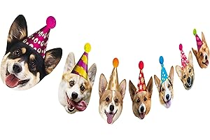Exceptional Corgi Birthday Decorations: Embellish Your Canine's Special Day