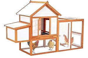 Premium Wood Duck Coop for Up to 6 Chickens