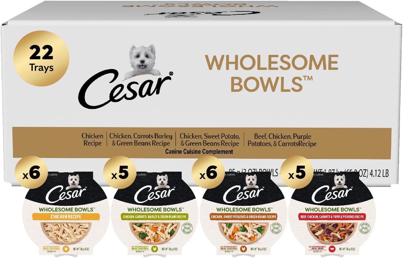 Cesar Wholesome Bowls Adult Wet Dog Food, Variety Pack, Wet Food for Dogs, 3 Oz. Bowls, 22 Count