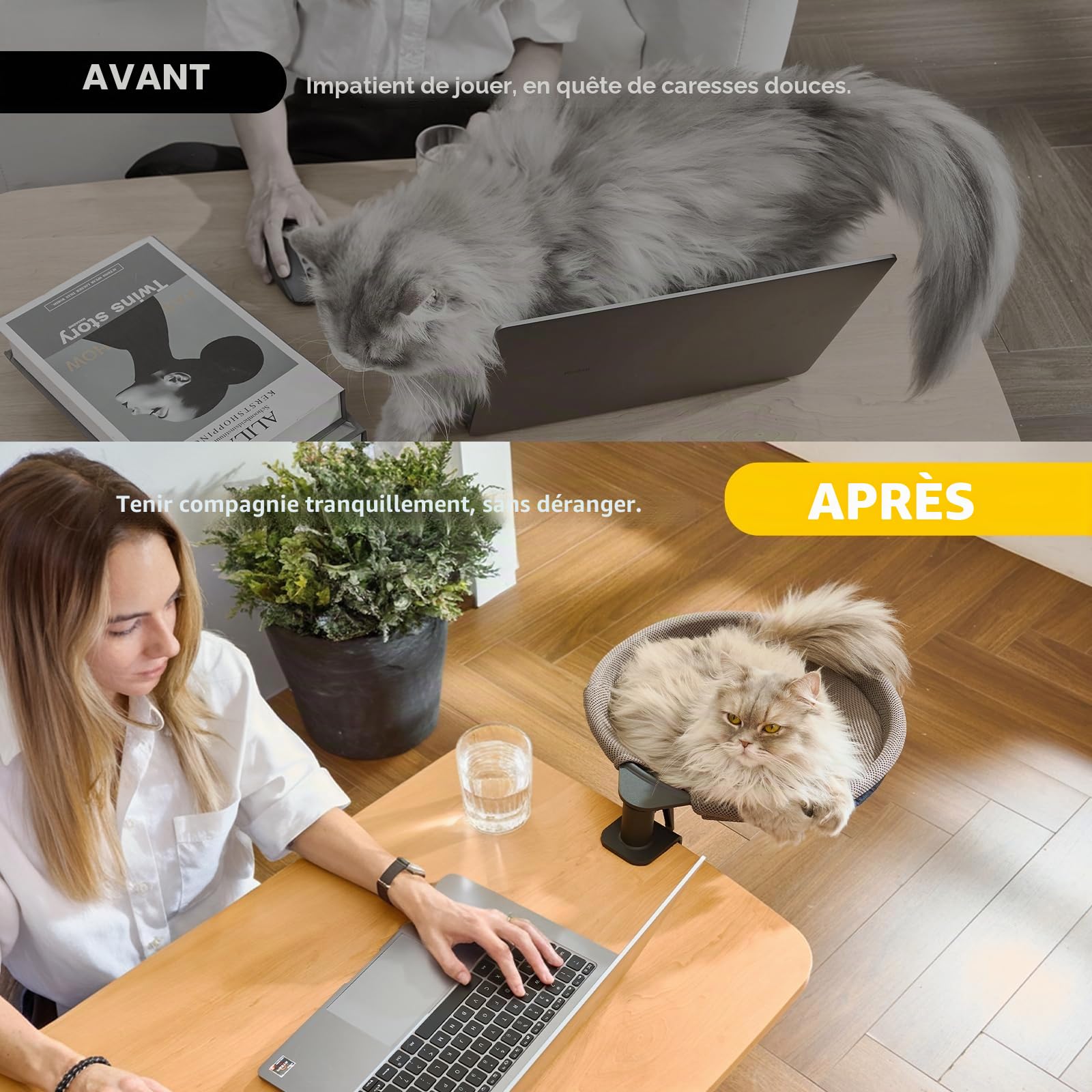 CATISM Lit de Bureau pour Chat Rotation de 360° Lit pour Chat avec 2 Tapis remplaçables Hiver/été Hamac pour Votre Bureau 36 * 38cm Jusqu'à 20kg