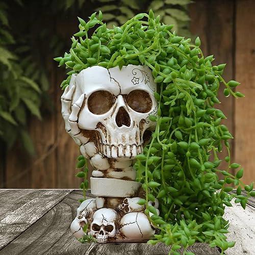 Macetero de calavera para decoraciones de Halloween, maceta de calavera, macetas de Halloween para plantas de interiorexterior, macetas góticas,