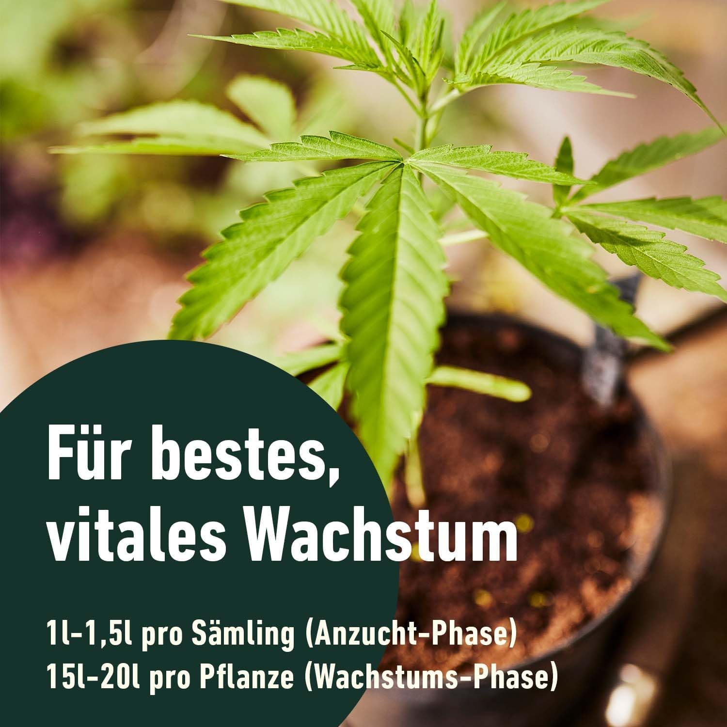 Compo Grow Organic Light-Mix Erde - Aussaaterde mit lockerer, luftiger Struktur für den Anbau von Spezialkulturen im Indoor- & Outdoor-Bereich 50 L