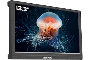 13 Inch Portable Monitor with Multiple Port 1080P Display for Rasberry Pi,...