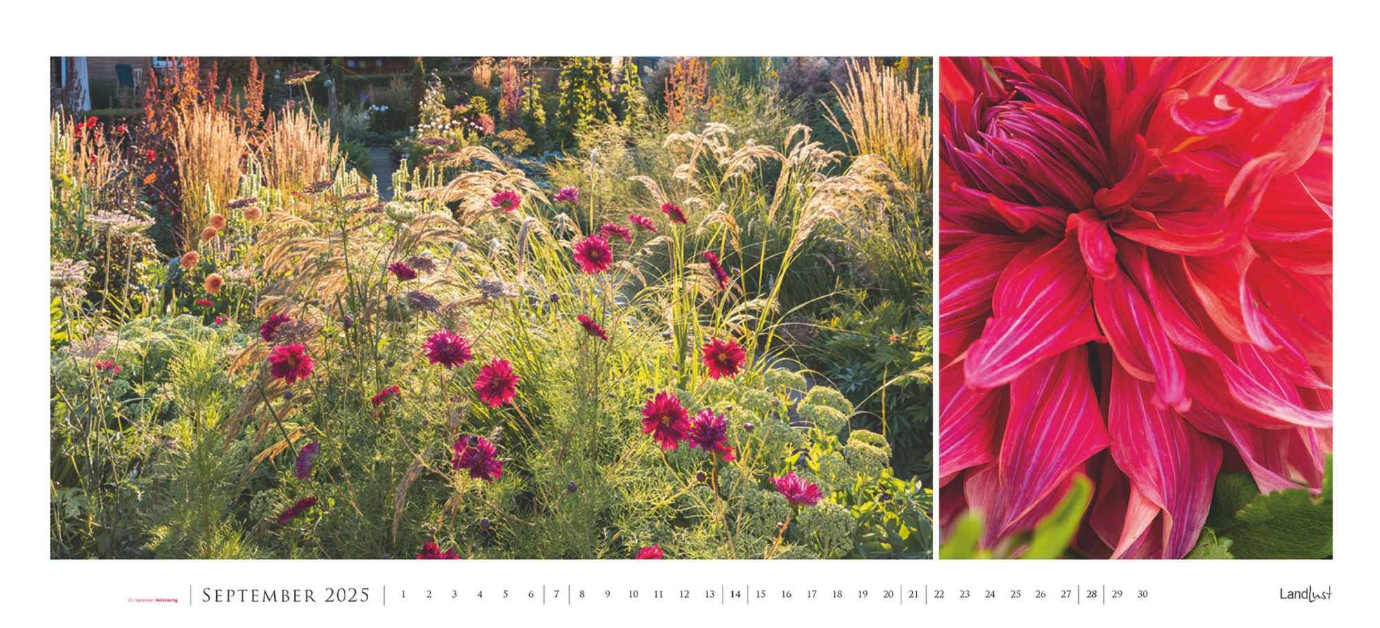 Landlust - Garten-Kontraste Panorama 2025, 110x50cm, Wandkalender mit Garten-Motiven im Großformat, Schönheit des Gartens in vielen Facetten, Spiralbindung, deutsches Kalendarium
