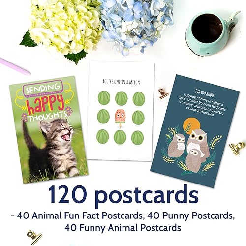 Miniatura 2 de 120 postales  Paquete a granel de postales para niños, familia, amigos, estudiantes, profesores, campamento de verano y más  Di hola, pensando en