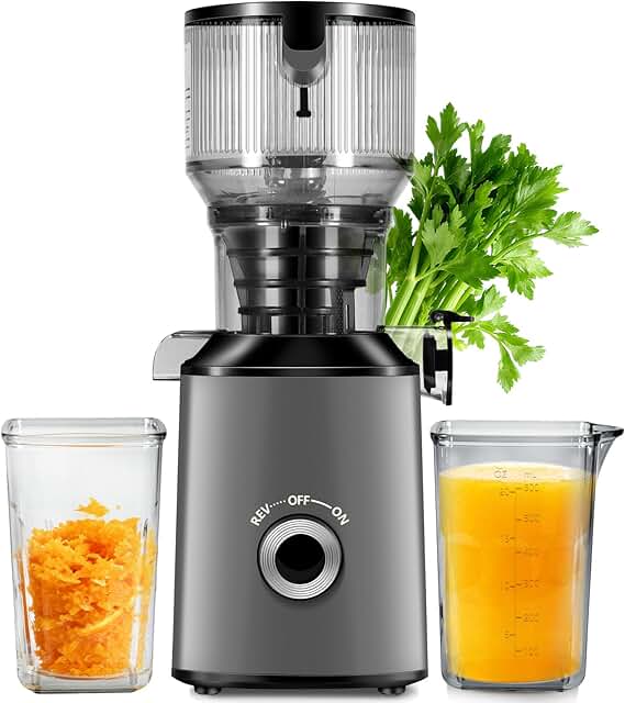 Cold Press Juicer with 5.8