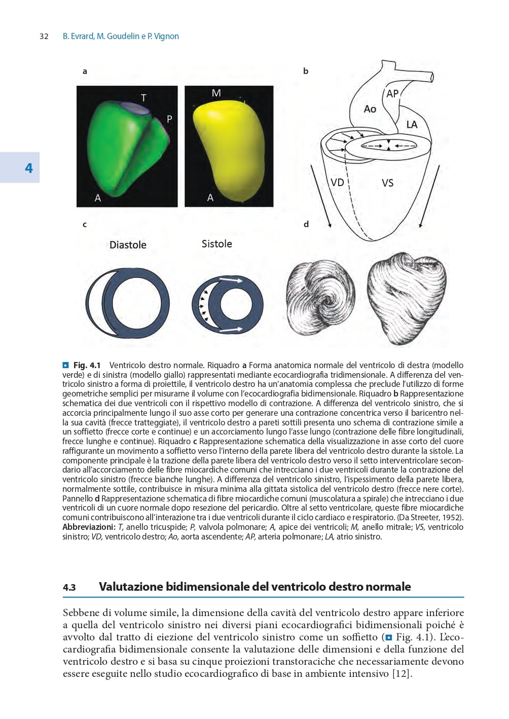 Competenze ecografiche di base per intensivisti