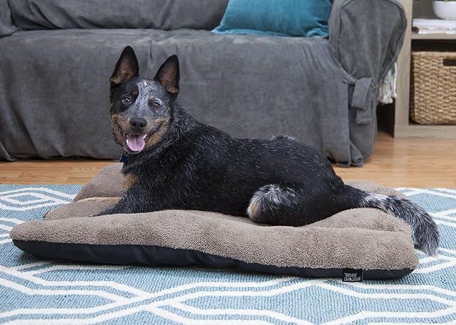 Foto 5 de 6 de SportPet Designs - Cama Impermeable para Mascotas con Base Antideslizante