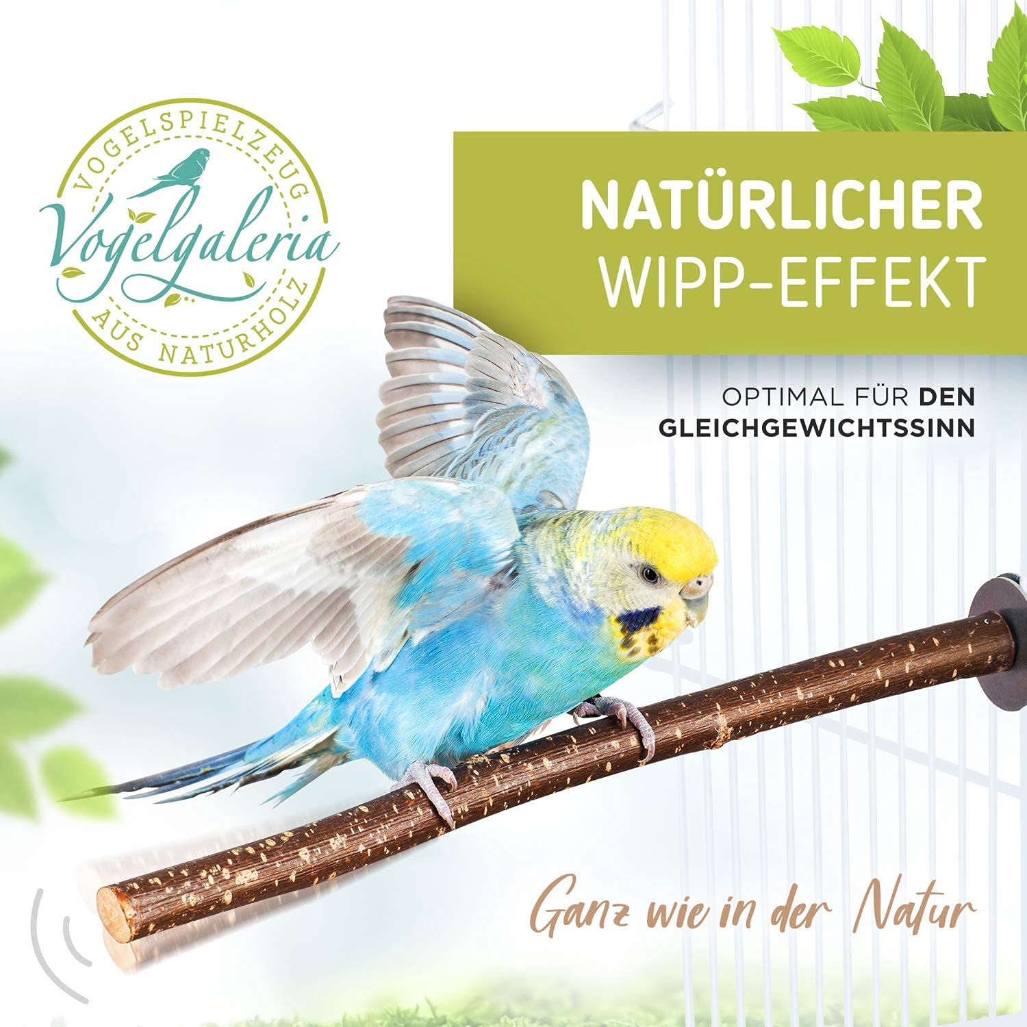 12 Set Viti Per Posatoi Uccelli - Fissaggio Per Gabbie Di Pappagalli E Volatili - Foto 10