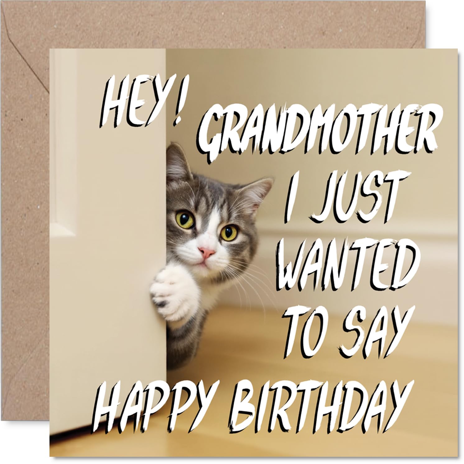 Grandmother Birthday Card - Cute Cat Peekaboo - Happy Birthday Card for Grandmother from Grandson Granddaughter, 145mm Lovable Kitty Bday Greeting Cards