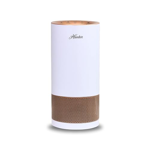 HP450UV True HEPA Air Purifier (White Rose Gold)