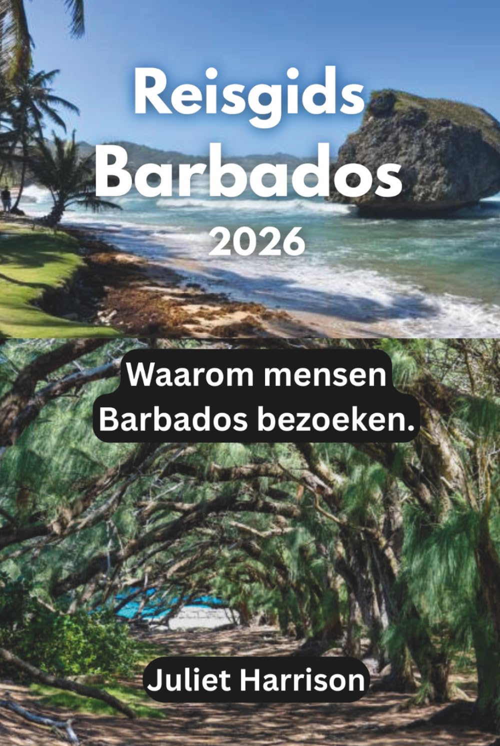 Reisgids Barbados 2026: Waarom mensen Barbados bezoeken.