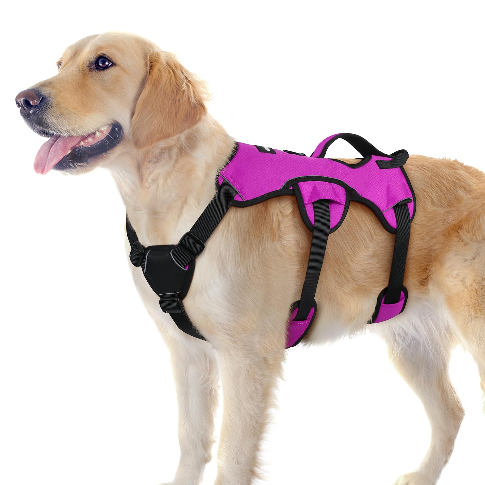 rabbitgoo Escape Proof Dog Harness, Soft Padded Full Body Pet Harness, Reflective Adjustable No Pull Vest with Lift Handle and Lesh Clip for Large Dogs Walking Hiking Training, L, Purple