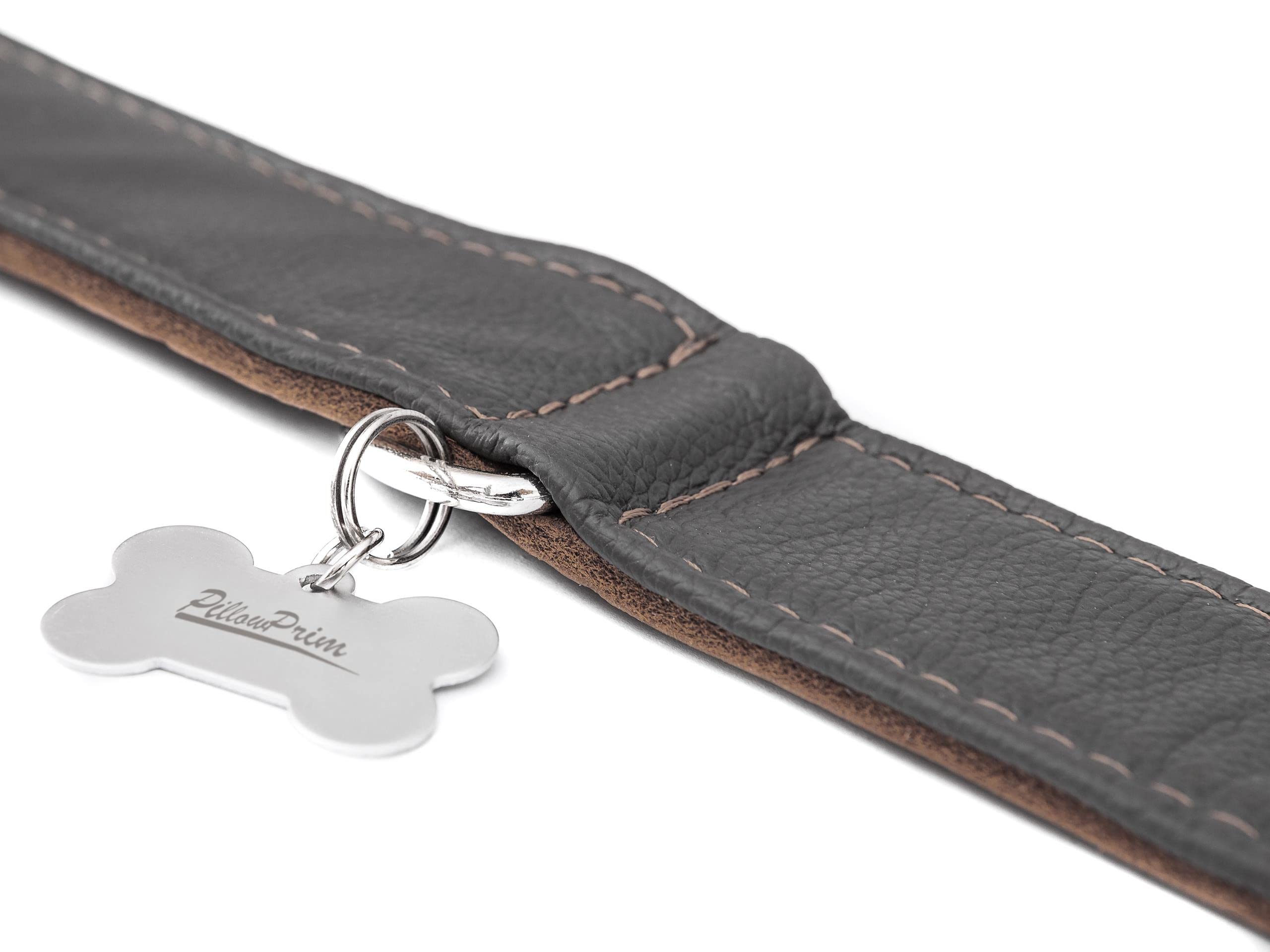 Collier pour chien en cuir avec boucle en métal Marron 65 x 4 cm