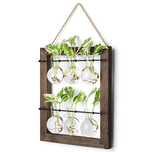 Mkono Propagation Station Wall Hanging Glass Planter, Flower Bulb Vase Plant Terrarium with Retro Wooden Stand Double Layer for Hydroponics Plants Home Garden Office Decor