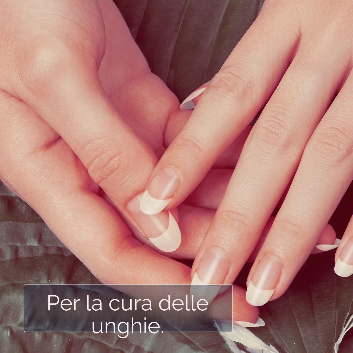 Naissance Olio di Ricino No. 217) - 5 Litri - Per Crescita dei Capelli, Ciglia, Sopracciglia, Barba, Unghie, Viso, Corpo – Olio di Castor Puro, Naturale, Vegano, Senza Esano, Senza OGM