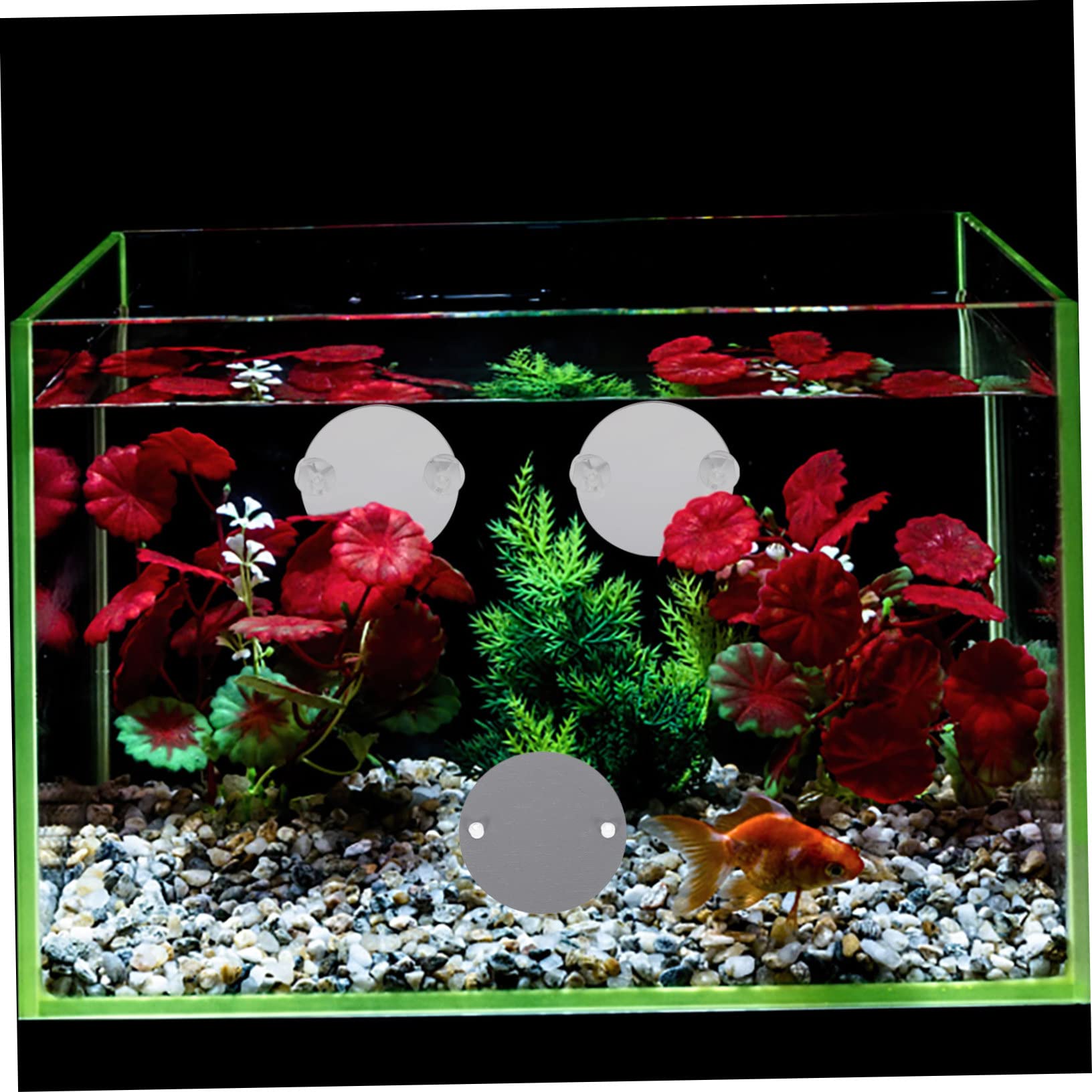 Mipcase 30piezas Espejo De Acuario para Betta Ventosa De Decorativas para Peceras Espejos Entrenadores para Betta Accesorios para Acuarios De Agua Dulce y Salada