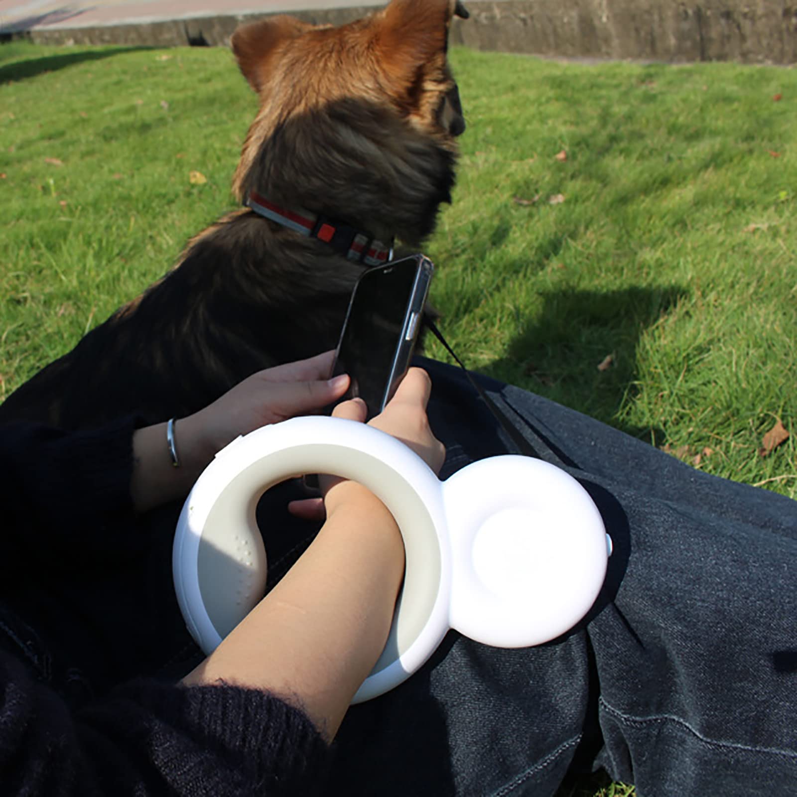 Laisse Chien avec Lampe de Poche LED pour Le Dressage et la Promenade 3 M Laisse Chien Enrouleur Laisse RéTractable Chien pour Toutes Les Tailles De Chien Moyen Gros Laisse RéGlable