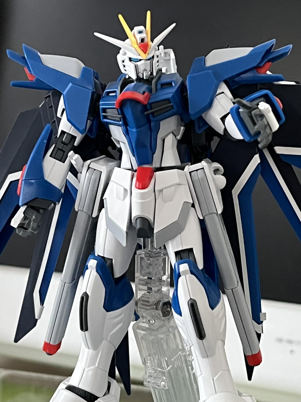 2次受注用HG Mobile Suit Gundam SEED FREEDOM Singapore | Ubuy
