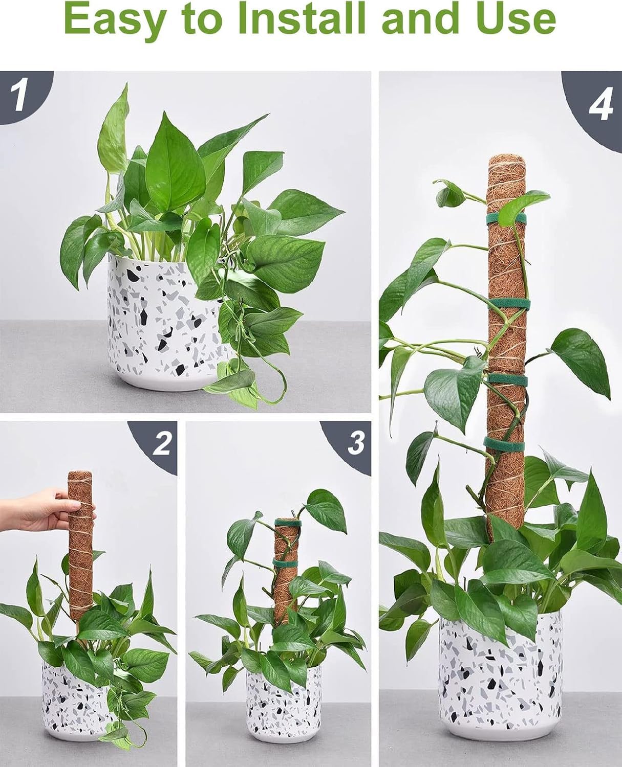 Support de plante de 30 cm en tiges de mousse, bâton de mousse pour Monstera et plantes grimpantes