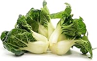 1000 Extra Dwarf Pak Choi Seeds | Heirloom Non-GMO USA Grown | 4 Inch Mini Bok Choy for Containers - RDR Seeds