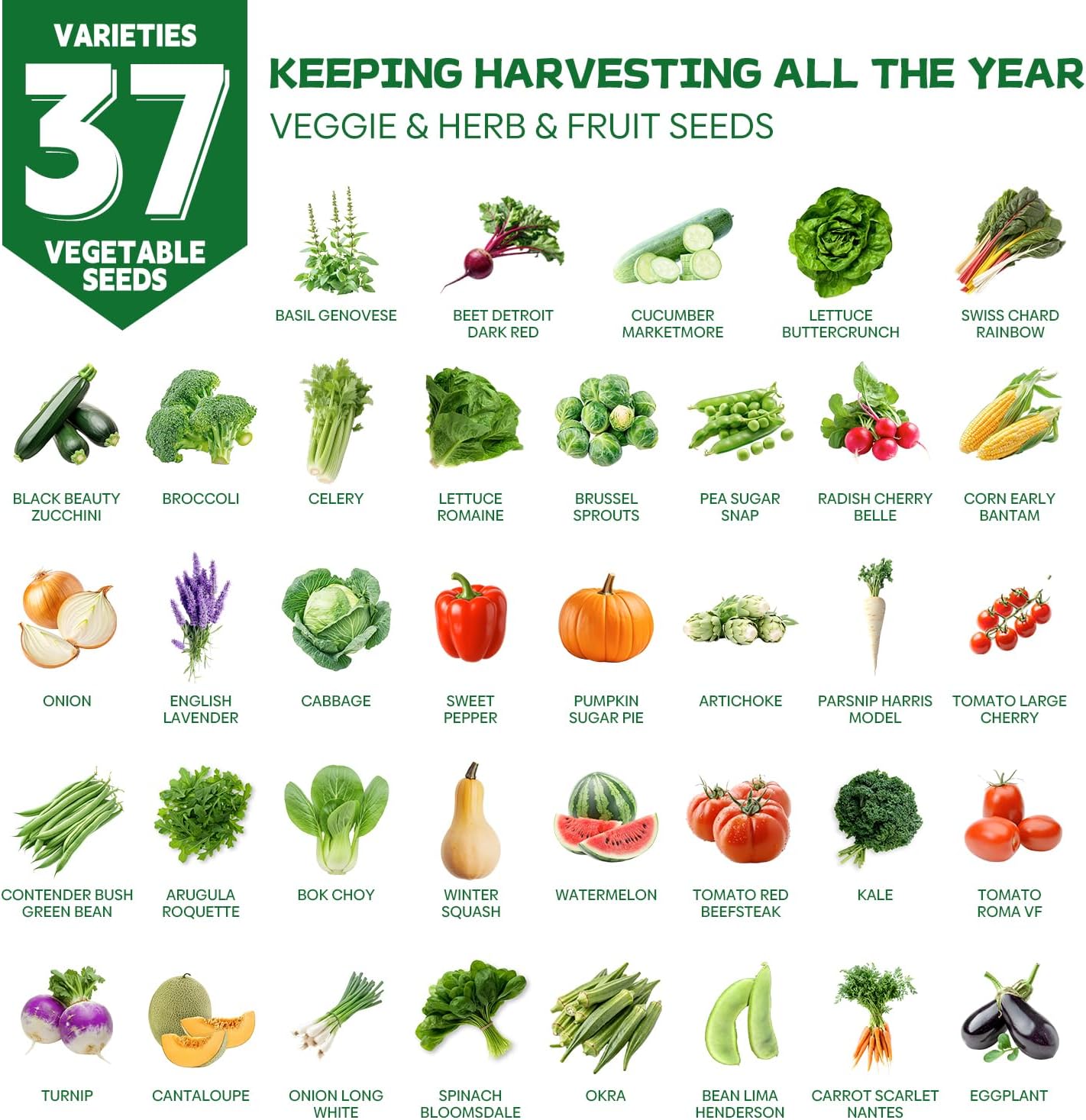 37 Vegetable Seeds - 18,000+ Non GMO Heirloom Home Garden Seeds for Planting Vegetables Indoor and Outdoors, Fruit and Vegetable Seeds Variety Pack with Tomato, Basil, Cucumber, Lettuce and More