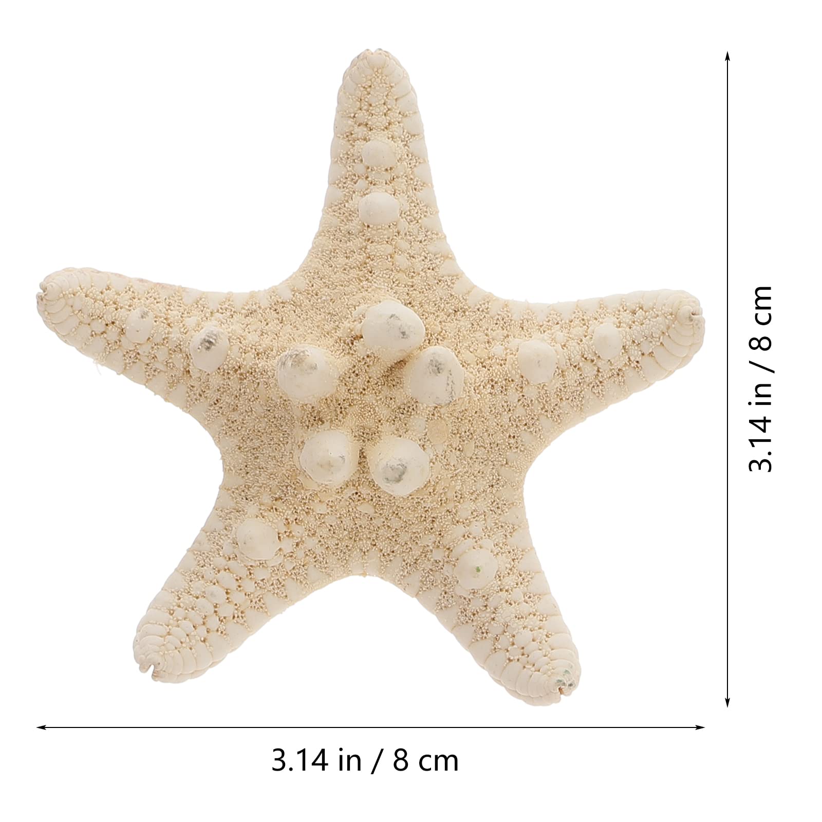 Amosfun Juego de 4 Conchas de Estrellas de mar Naturales para decoración náutica (5-8 cm)