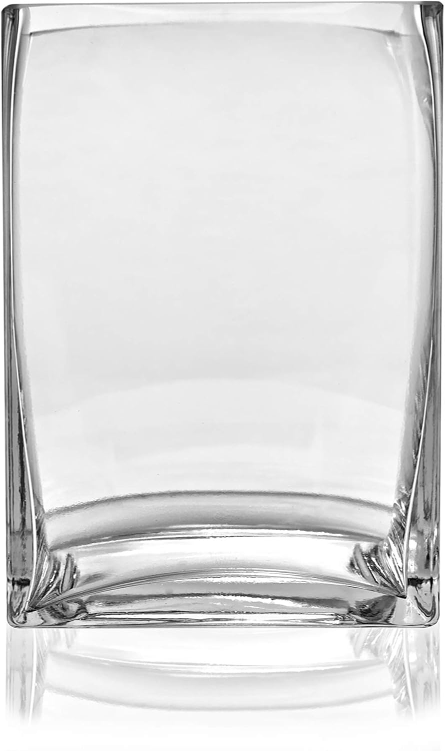 CYS Excel Glass Rectangle Vase (H9.5" Open6"x4